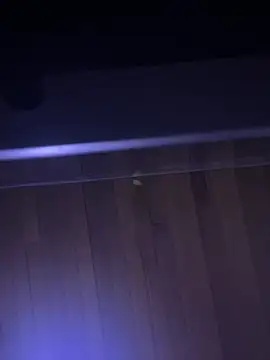 XBODTRIIPX online show from April 7, 11:17 pm