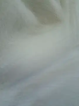 novinho100795 online show from December 19, 12:03 am