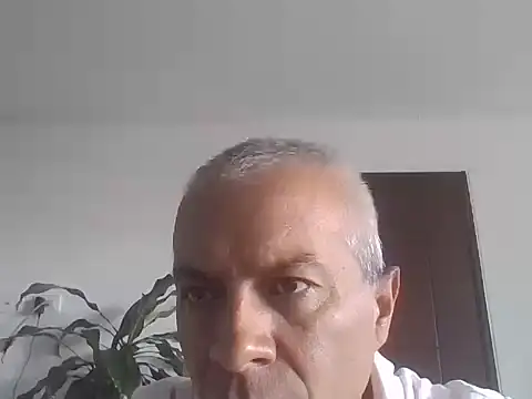 Snapshot of ALFRERM chatting on October 12, 7:37 pm ALFRERM online show from October 12, 7:37 pm