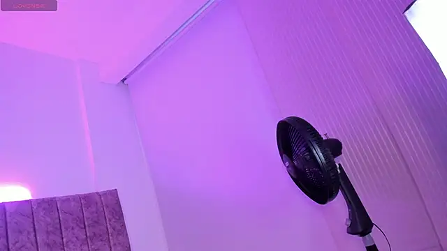 Ambeer fox  online show from March 18, 1:35 pm