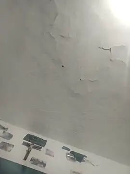 Snapshot of Ferxxxo1503 chatting on December 2, 4:58 am Ferxxxo1503 online show from December 2, 4:58 am