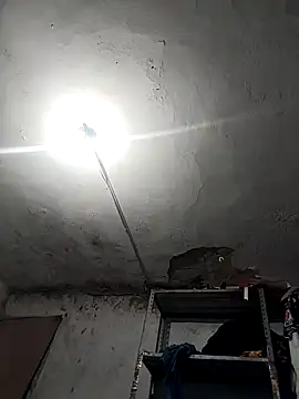 Snapshot of Ferxxxo1503 chatting on November 26, 4:23 am Ferxxxo1503 online show from November 26, 4:23 am