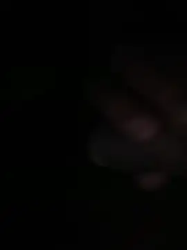 Snapshot of Flash356 chatting on February 24, 9:04 pm Flash356 online show from February 24, 9:04 pm