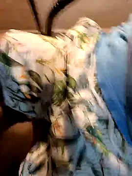 Gallo001 online show from December 16, 11:03 am