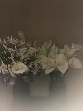 SLNatasha online show from March 1, 3:06 am