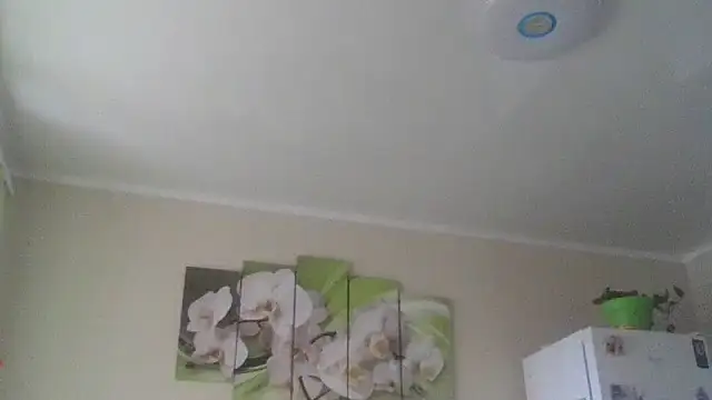 Snapshot of Zhinara chatting on November 9, 9:35 am Zhinara online show from November 9, 9:35 am