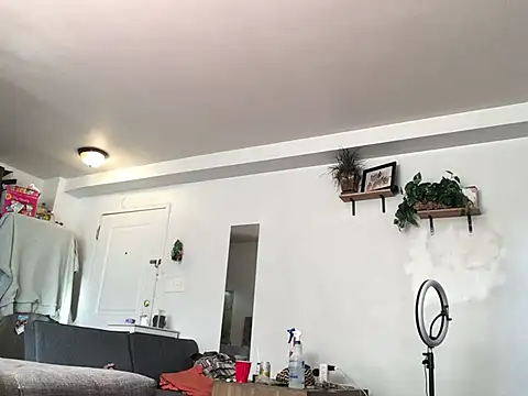 littyleesh1 online show from January 13, 4:00 pm