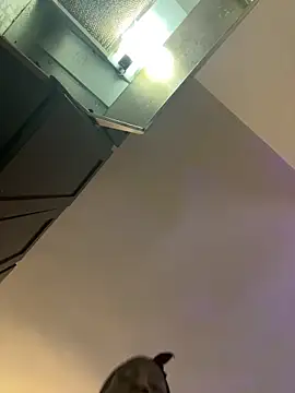 littyleesh1 online show from March 22, 1:12 pm