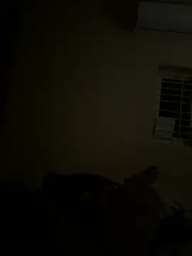 Chaitu-teluguhot online show from February 27, 7:03 pm