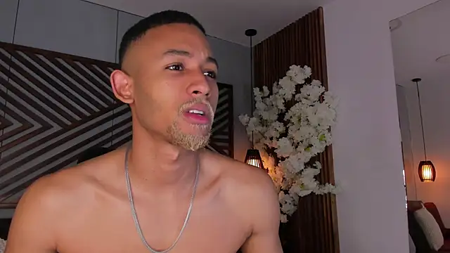 B Wild online show from November 28, 3:39 am