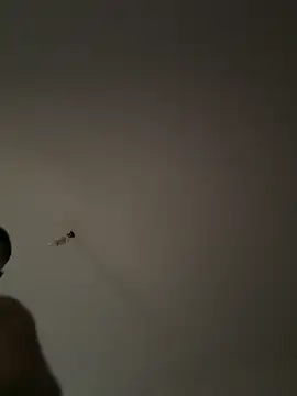 SEX TANRISII online show from September 11, 1:33 pm