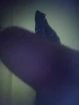 8133vaibhavh online show from January 14, 2:20 pm