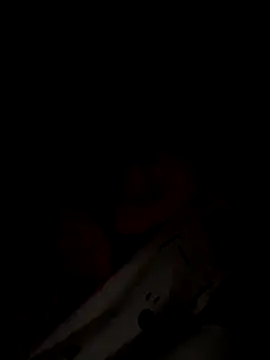 Dakota Evanns online show from November 28, 6:24 am