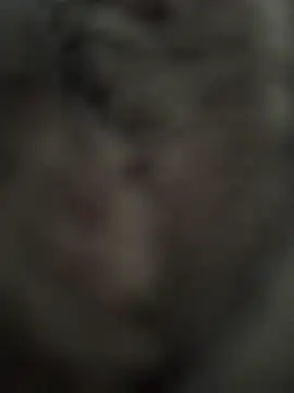 Immerhartundgeil online show from May 9, 6:17 am