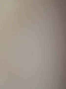 samuelcher online show from November 5, 12:30 pm