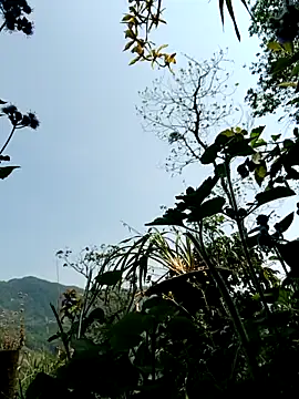 kemtuoi-sex online show from April 8, 3:19 am