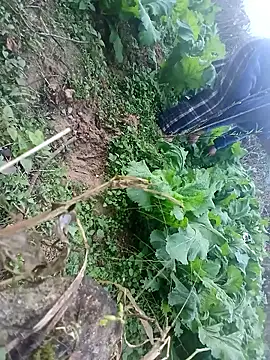 kemtuoi-sex online show from January 17, 10:30 am