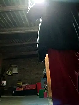 kemtuoi-sex online show from November 3, 1:58 pm