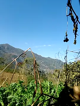 kemtuoi-sex online show from February 5, 8:10 am