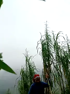 kemtuoi-sex online show from April 1, 2:57 am