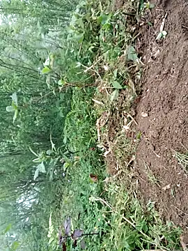 kemtuoi-sex online show from April 19, 9:43 am