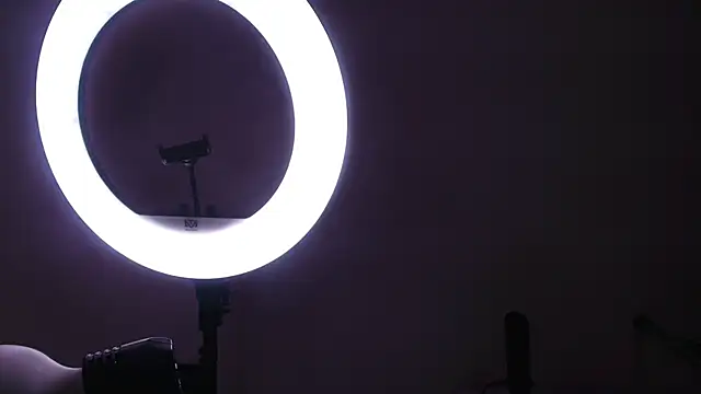 abbyrouss  online show from November 29, 3:06 am