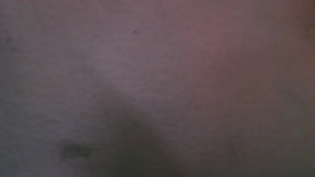 abbyrouss  online show from October 16, 3:04 am