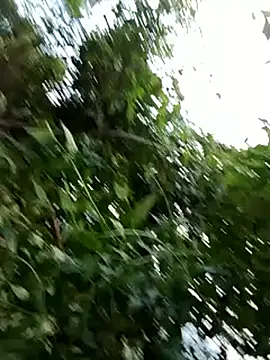 -Xuka-200 online show from October 20, 9:54 am