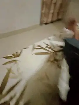 Famit025 online show from November 23, 2:27 pm