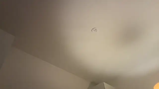 Swedishfish69 online show from February 8, 4:37 pm