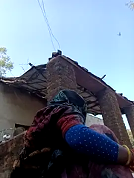 Cm pooja online show from November 29, 4:01 am