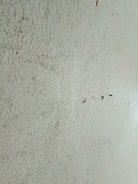 kata-00 online show from March 14, 5:35 am