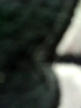 kata-00 online show from April 2, 6:09 am