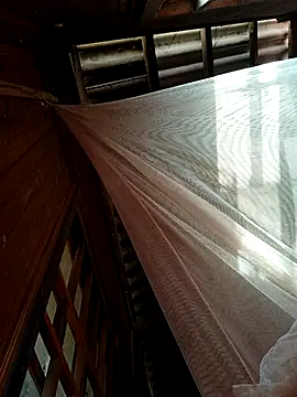 kata-00 online show from January 18, 5:44 am