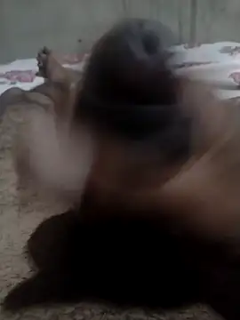 Snapshot of Tc777fun chatting on November 22, 11:47 pm Tc777fun online show from November 22, 11:47 pm