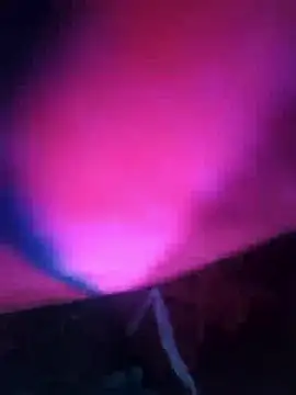 Chanderi19 online show from December 13, 8:04 pm