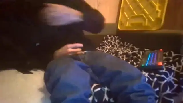 Sillycatfish online show from December 20, 9:56 am