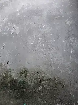 theindianjason online show from November 3, 9:24 am