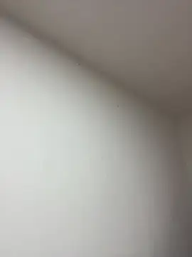 Anabelle 00  online show from March 22, 3:21 am