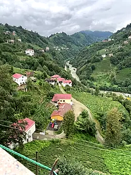 LAZ3R1 online show from October 2, 10:29 am