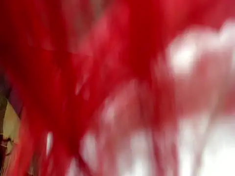 franchescadoll online show from October 6, 9:32 am