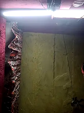 Snapshot of Suman_ji1 chatting on November 25, 1:44 pm Suman ji1 online show from November 25, 1:44 pm