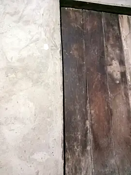 riso-00 online show from March 30, 11:44 am