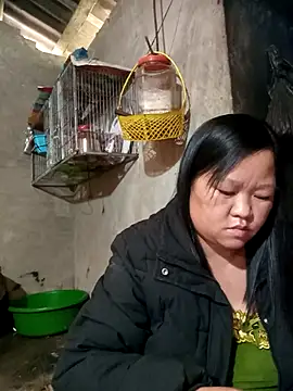 riso-00 online show from January 9, 6:53 am