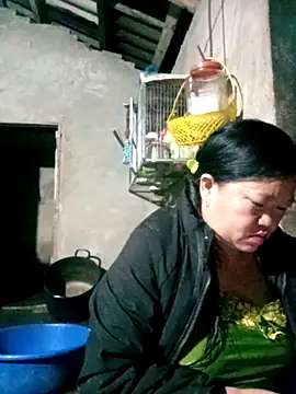 riso-00 online show from January 7, 1:49 pm