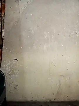 Snapshot of Gracie_Stella chatting on October 11, 6:36 am Gracie Stella online show from October 11, 6:36 am