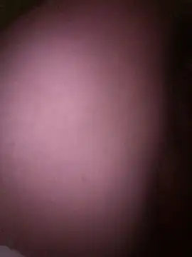 Snapshot of LatinGordis chatting on December 17, 3:44 am LatinGordis online show from December 17, 3:44 am