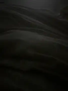 dlasian2026 online show from November 4, 4:55 pm