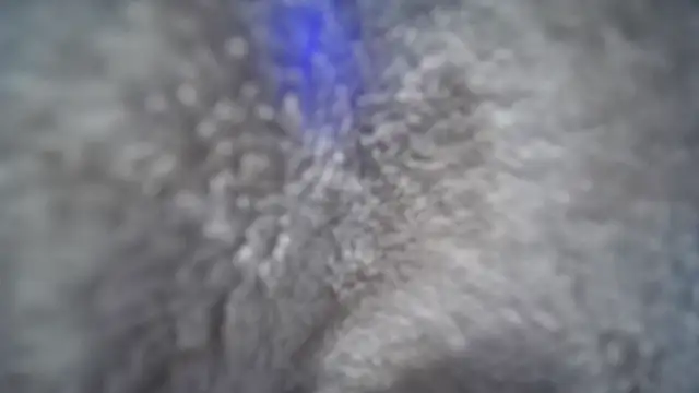 Snapshot of jasoncali305 chatting on November 20, 7:03 pm jasoncali305 online show from November 20, 7:03 pm