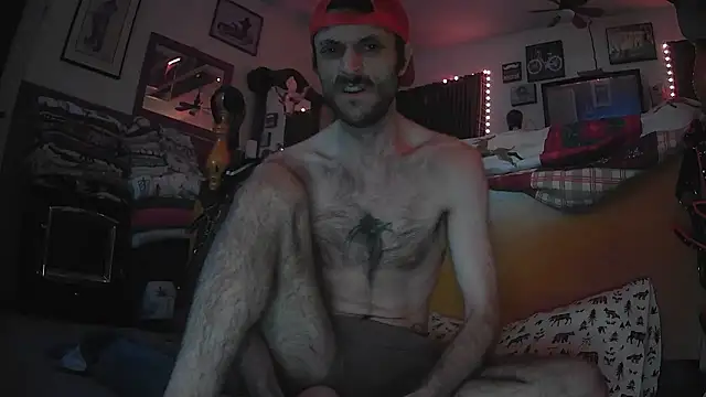 HarmoniousPhantasm3 online show from January 11, 10:00 am